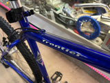 Schwinn Frontier Bike