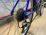Schwinn Frontier Bike