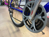 Schwinn Frontier Bike