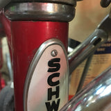 SCHWINN VINTAGE STYLE BICYCLE HEAD BADGE SCREWS - ONE PAIR - NAME PLATES SCREWS