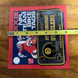 DIXIE NFL PITTSBURGH STEELERS SUPER BOWL NFL CHAMPS BICYCLE PLATE TAGS